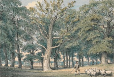 Ein Parklandschaft mit Schäfer und Schafen von Samuel Howitt