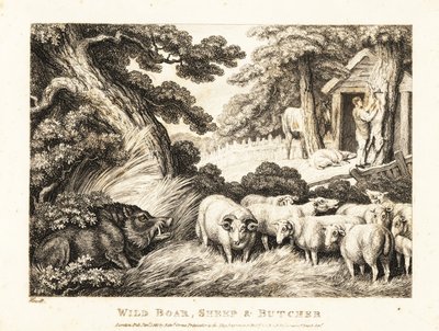 Eine Schafherde wartet auf die Schlachtung durch einen Metzger. 1811 (Radierung) von Samuel Howitt