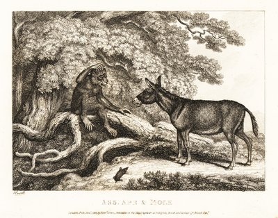 Ein Affe und ein Esel jammern, bis ein Maulwurf sie zum Schweigen bringt. 1811 von Samuel Howitt