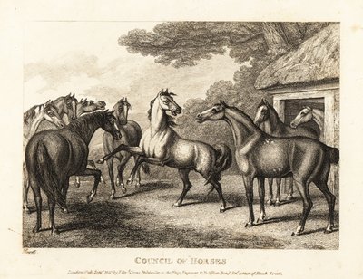 Ein junges Fohlen versucht eine Meuterei im Stall anzuzetteln. 1811 (Radierung) von Samuel Howitt