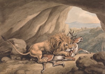 Löwe greift einen Hirsch an von Samuel Howitt