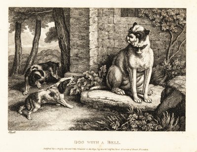 Zwei Spaniels bellen einen Bulldogge mit einer Glocke am Halsband an. 1811 (Radierung) von Samuel Howitt