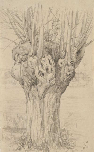 Knotiger Baum, 1884 von Samuel Isham