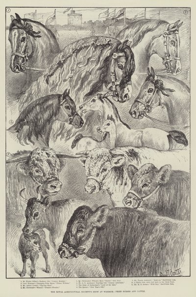 Die Ausstellung der Royal Agricultural Society in Windsor, Preisgekrönte Pferde und Rinder von Samuel John Carter
