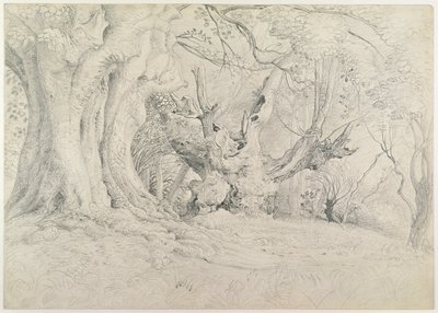 Alte Bäume, Lullingstone Park, 1828 von Samuel Palmer