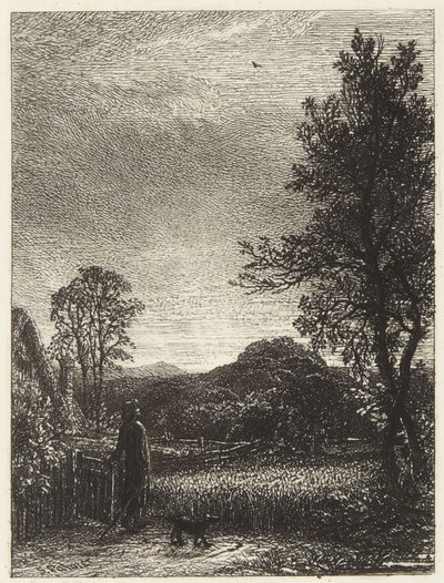 Die Lerche von Samuel Palmer