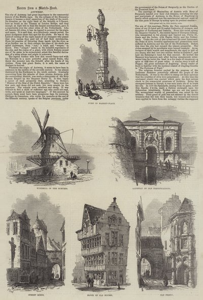 Antwerpen von Samuel Read