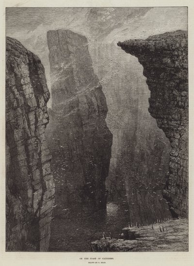 An der Küste von Caithness von Samuel Read
