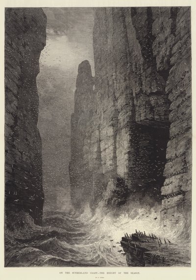 An der Küste von Sutherland, in der Hochsaison von Samuel Read