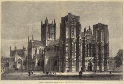Das Royal Archaeological Institute in Wells, Wells Cathedral (Stich) von Samuel Read