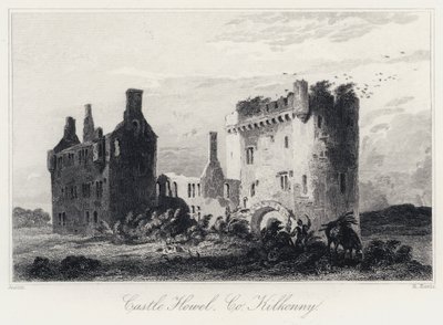 Schloss Howel, Co Kilkenny von Samuel after Austin