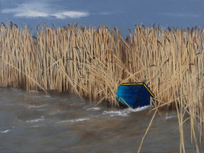 Boot im Schilf von Sandy Iseli