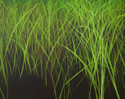 Frisches Gras, 2016 von Sandy Iseli