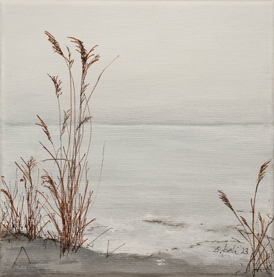 Mystischer Morgen von Sandy Iseli