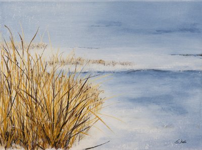 Schneeflocken von Sandy Iseli