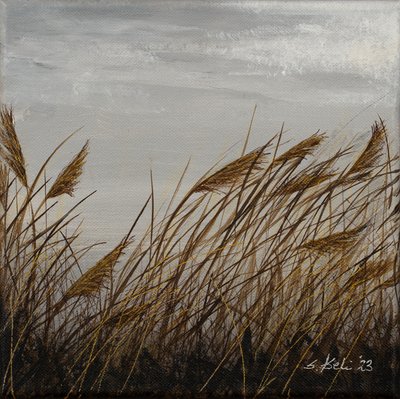 Wintertanz von Sandy Iseli