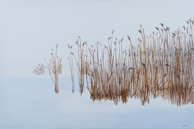 Winterrohrkolben, 2016 von Sandy Iseli