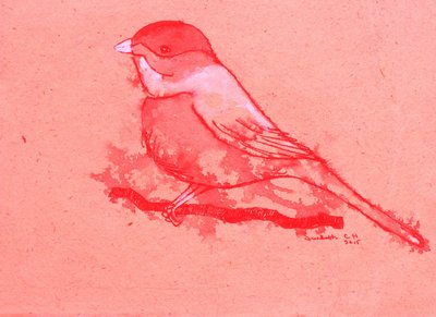 Roter Vogel auf Ast von Santhosh ch