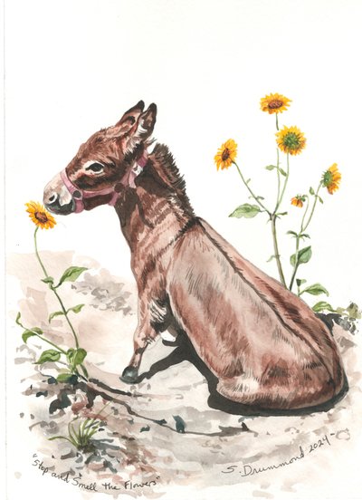 Stop and Smell the Flowers, 2024 von Sarah Drummond