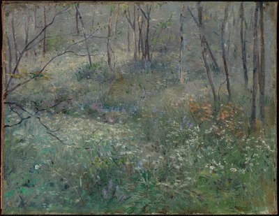 Wilde Petersilie von Sarah Paxton Ball Dodson