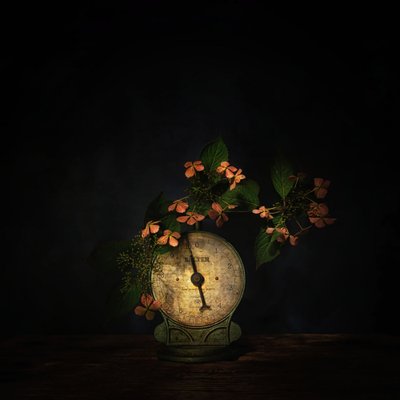 Dunkles Blumenwaagenstillleben von Saskia Dingemans