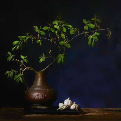 Grünzeug und Knoblauch Stillleben von Saskia Dingemans