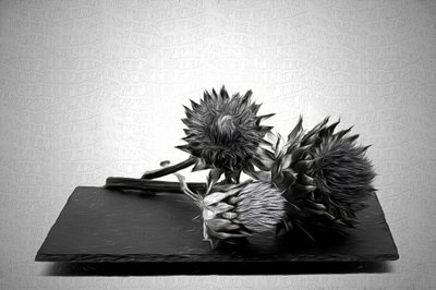 Monochromes Artischockenstillleben von Saskia Dingemans