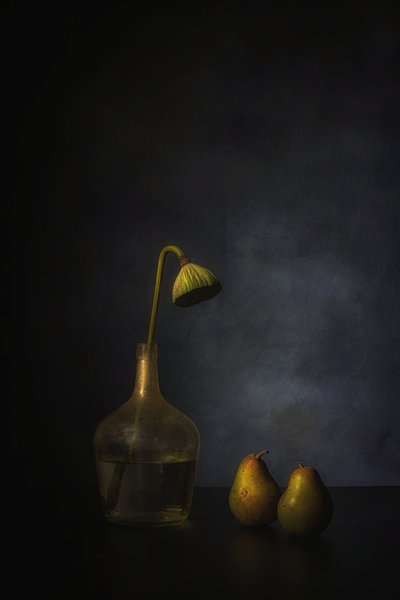 Stimmungsvolle Lotusblüten und Birnen von Saskia Dingemans