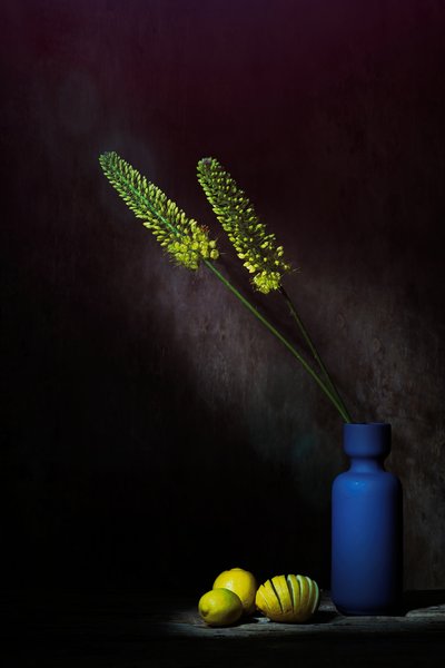 Stimmungsvolle gelbe Blumen Zitronen von Saskia Dingemans
