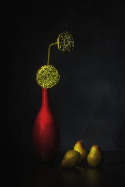 Rote Vase Lotus Birnen von Saskia Dingemans
