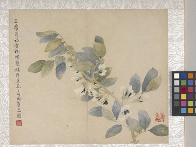 8-Blatt-Album mit Blumen, Mitte 1700er von School Chinese