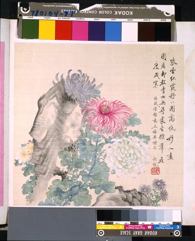 Album von Blumen und Vögeln, unbekanntes Datum von School Chinese