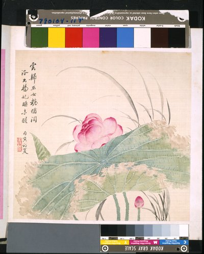 Album der Blumen und Vögel, Datum unbekannt von School Chinese