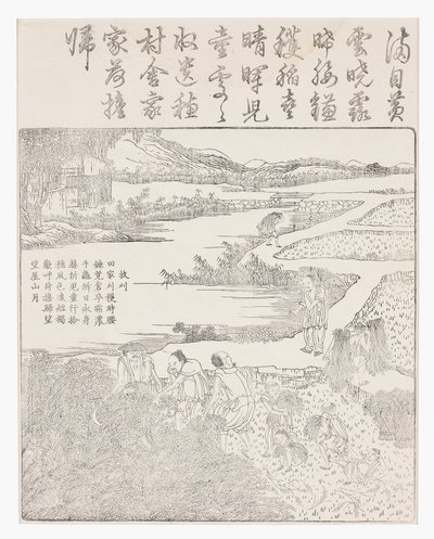 Reis ernten von School Chinese