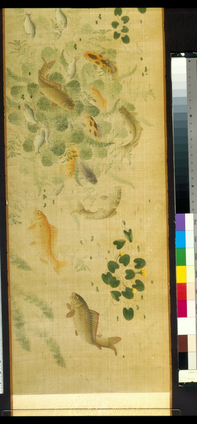 Myriaden von Fischen im Publikum mit Karpfen von School Chinese
