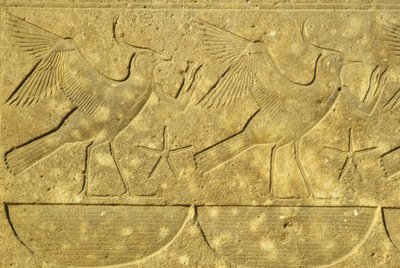 Altes Ägypten, Wandmalerei/-schnitzerei, Kiebitze, die die verschiedenen Stämme Ägyptens darstellen, Karnak-Tempel, Luxor von School Egyptian