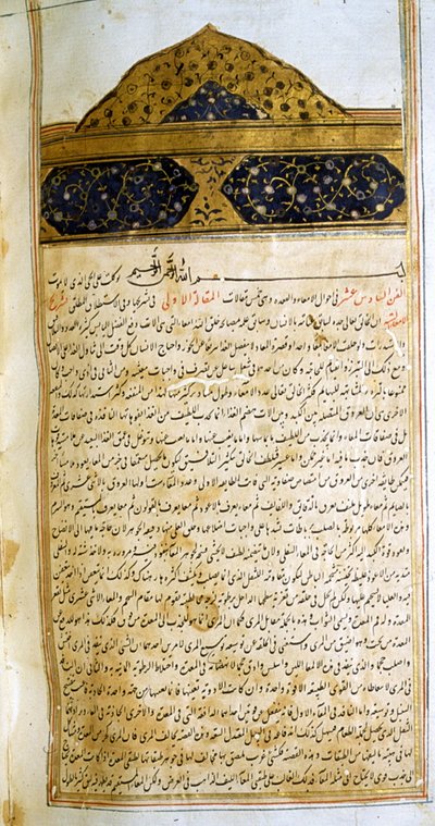 Seite aus dem Kanon der Medizin (al-Qānūn fī aṭ-Ṭibb) von Avicenna von School Iranian