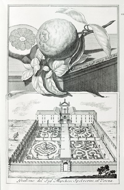 Villa des Marquis Spolverini von Verona, aus "Villen, Gärten und Landschaften in Venedig" von A. Volkamer (Gravur) von School Italian