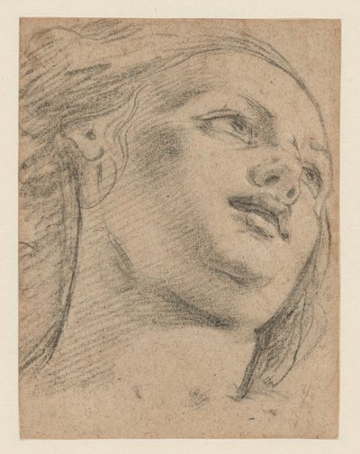 Studie eines weiblichen Kopfes, nach rechts blickend (recto); Studie von zwei Figuren, die einen Gegenstand stützen (verso) von School of Guido Reni