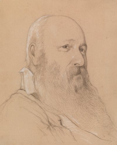 Porträt eines bärtigen Mannes von Severin Falkman