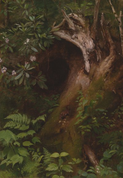 Das Eichhörnchen, 1860er-1870er Jahre von Seymour Joseph Guy