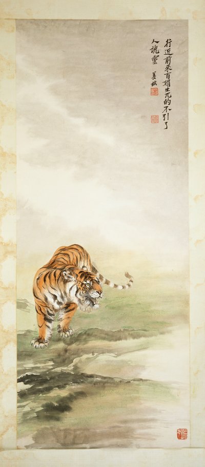 Tiger von Shanzi Zhang