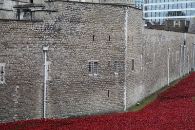 Blood Swept Lands and Seas of Red, Tower of London, 2014 von Sheldon Marshall