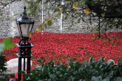 Blood Swept Lands and Seas of Red, Tower of London, 2014 von Sheldon Marshall