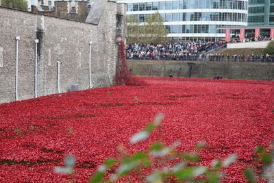 Blutüberströmte Länder und Meere aus Rot, Tower of London, 2014 von Sheldon Marshall