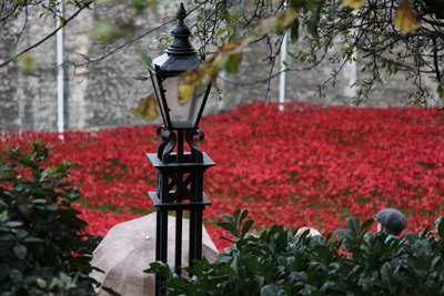 Blutüberströmte Länder und Meere aus Rot, Tower of London, 2014 von Sheldon Marshall