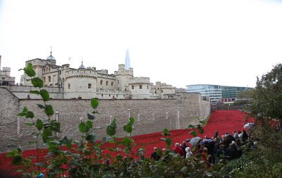 Blutüberströmte Länder und Meere aus Rot, Tower of London, 2014 von Sheldon Marshall