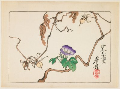 Weinrebe und Samen der Prunkwinde von Shibata Zeshin