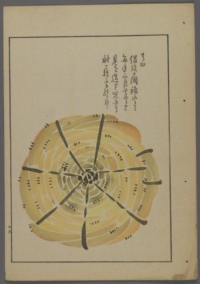 Japanisches Spielzeug, aus Unai no tomo (Ein Kinderfreund) von Shimizu Seifu, 1891-1923. Seilwindrad. von Shimizu Seifu