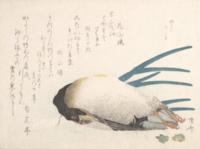 Sammlung Frühlingsregen Harusame shu, Bd. 1: Ente und Schalotten von Shinsai
